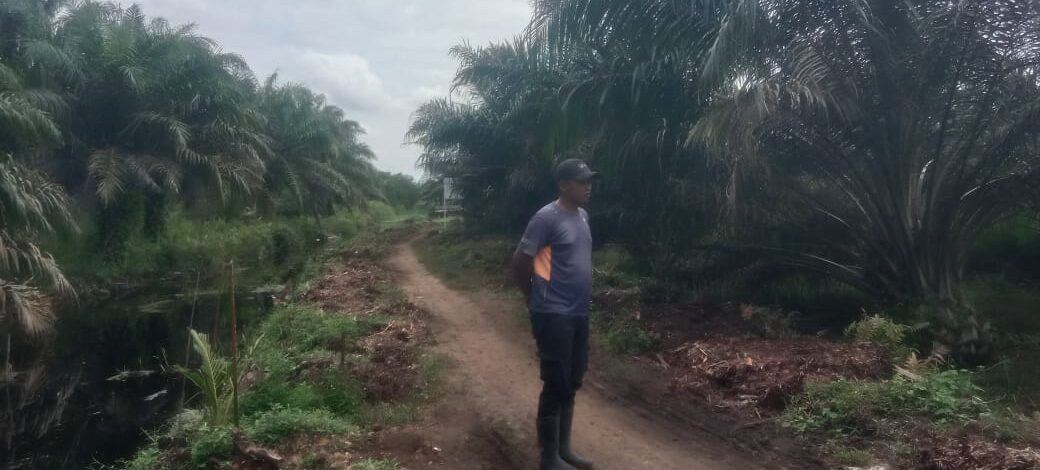 Pencucian Parit Rutin, Perkebunan Adipati Pastikan Akses Jalan Tidak Terhambat